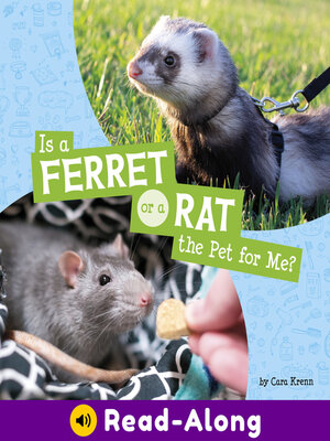 cover image of Is a Ferret or a Rat the Pet for Me?